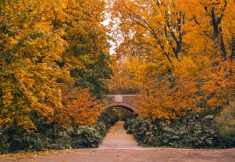 Фотография автора Светлана Шведова