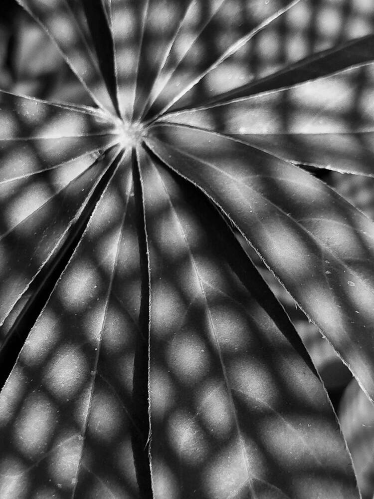 Photograph by Татьяна