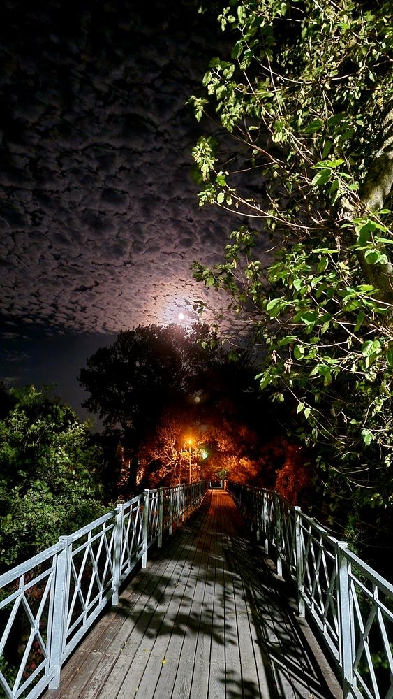 Фотография автора Наталья