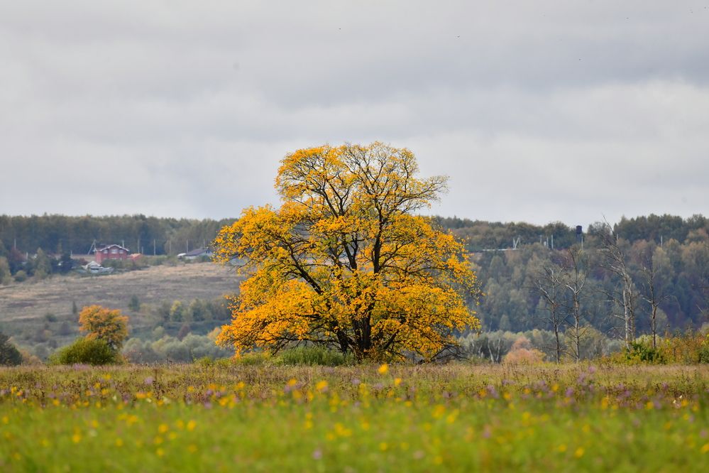 Photograph by Николай Абакумов