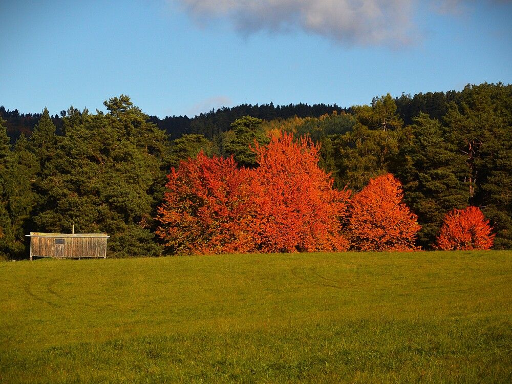 Photograph by Jozef Potocký