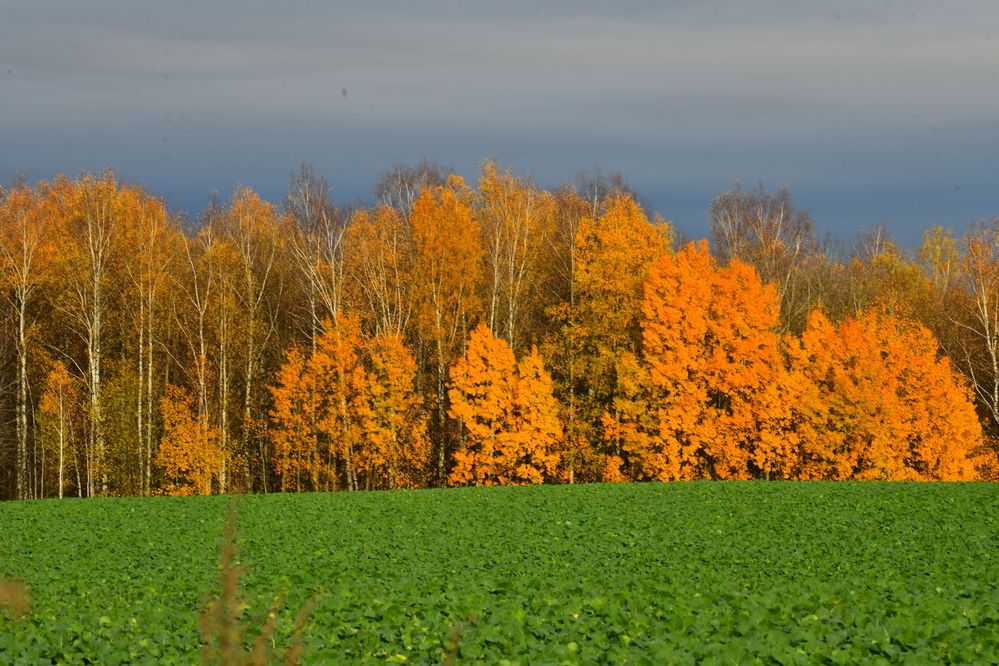 Photograph by Николай Абакумов
