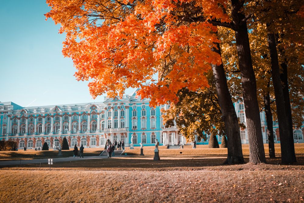 Photograph by Александр Ермаченко