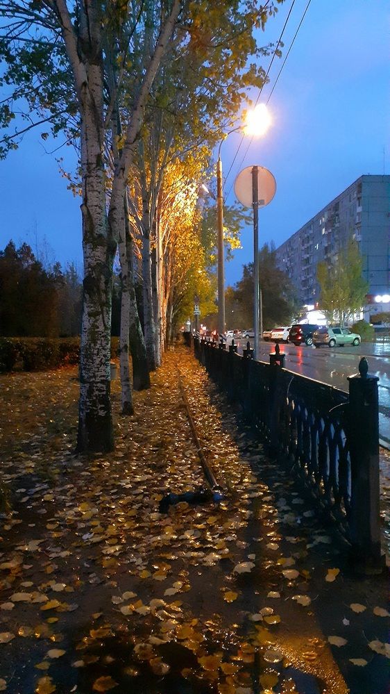 Фотография автора Сергей Басюк