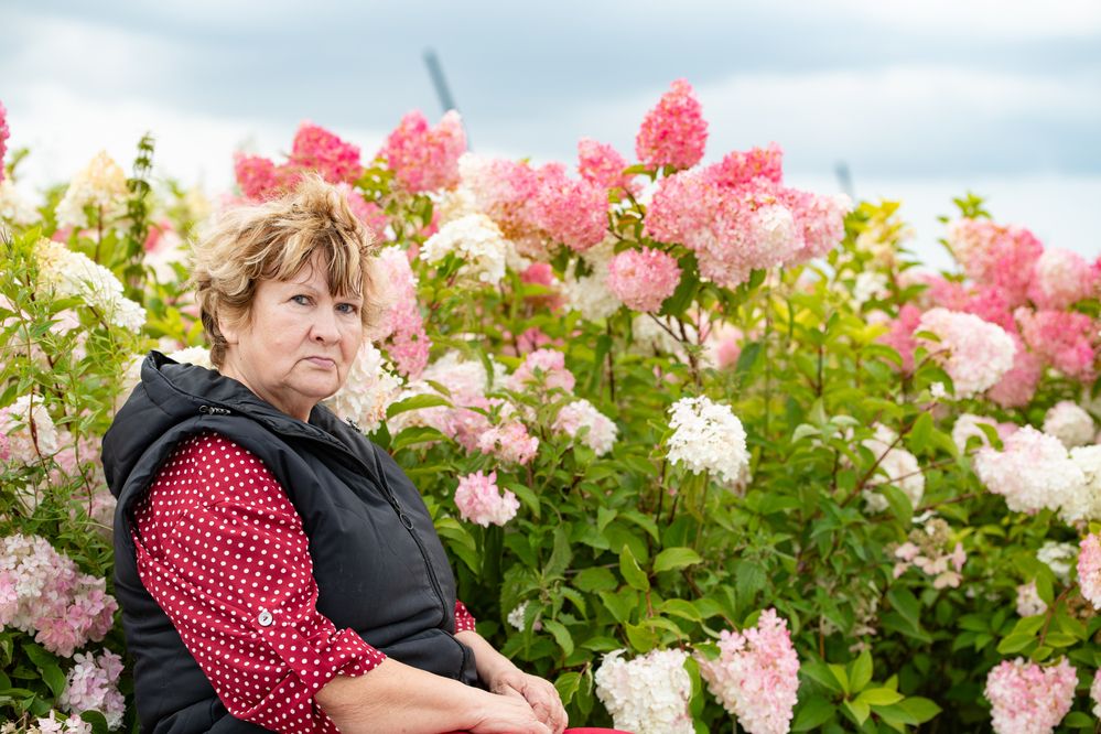 Photograph by Дмитрий Кочетков