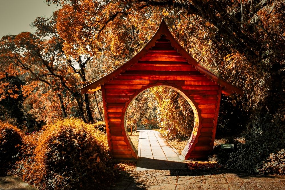 Photograph by Carmem De Luca