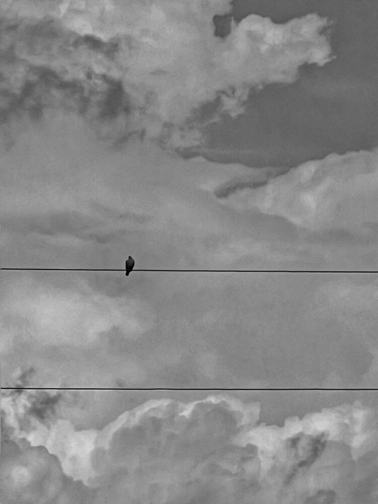 Photograph by Яна Сел