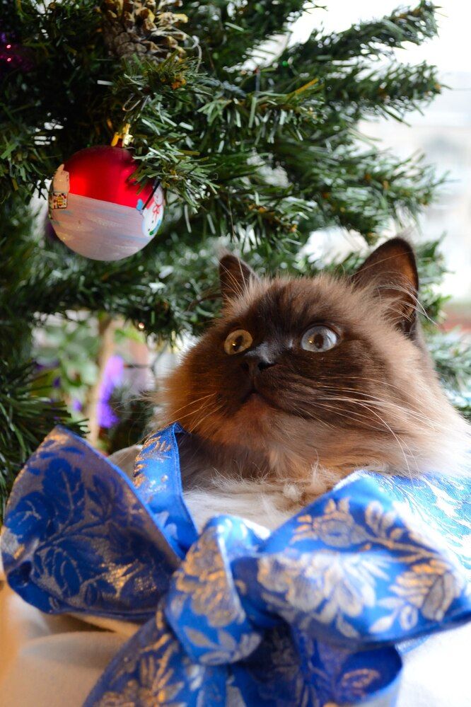 Photograph by Алексей