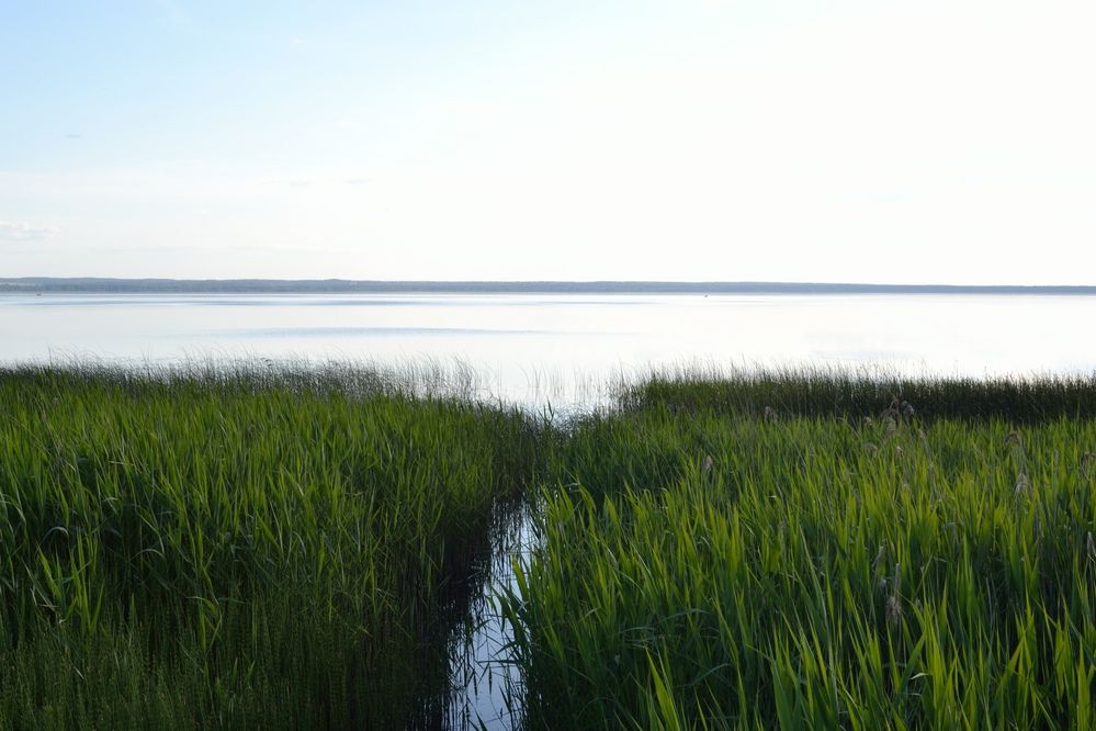 Photograph by Алексей