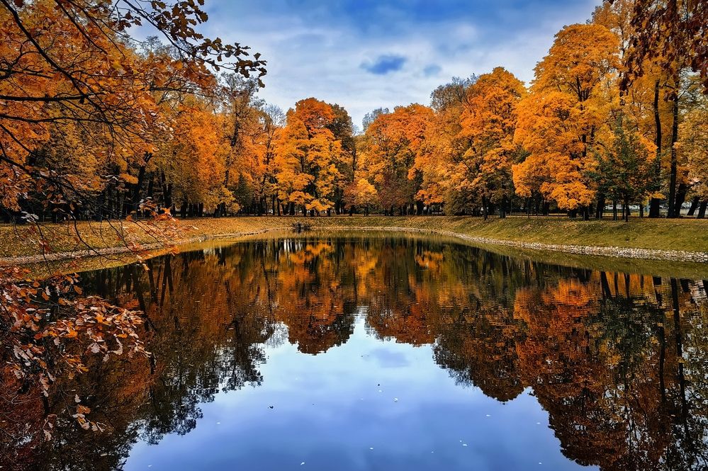 Photograph by Татьяна Бравая