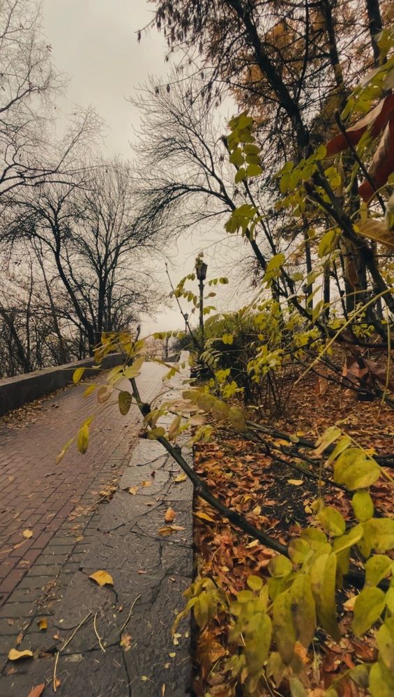 Photograph by Ольга Ручьева