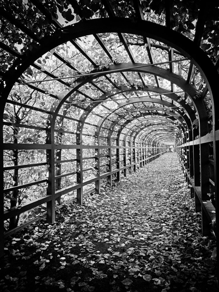 Photograph by Марианна Браун