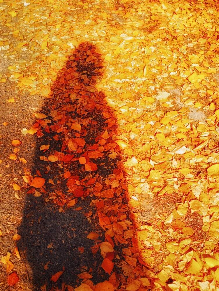 Photograph by Янтарная Елена