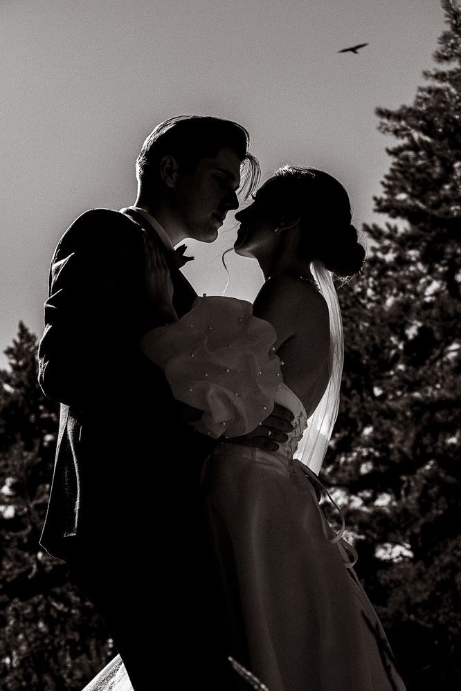 Photograph by Анатолий Банников