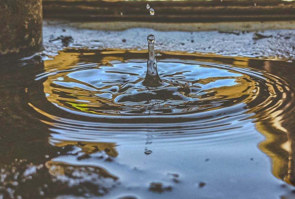 Photograph by Mazin Omer