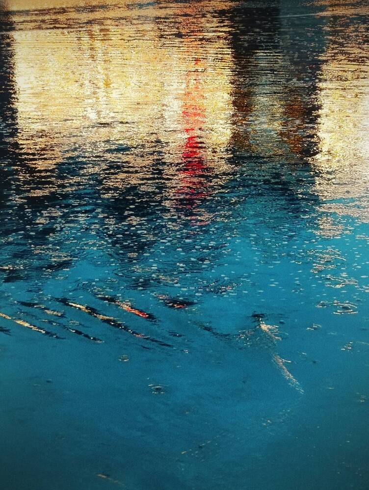 Photograph by Янтарная Елена