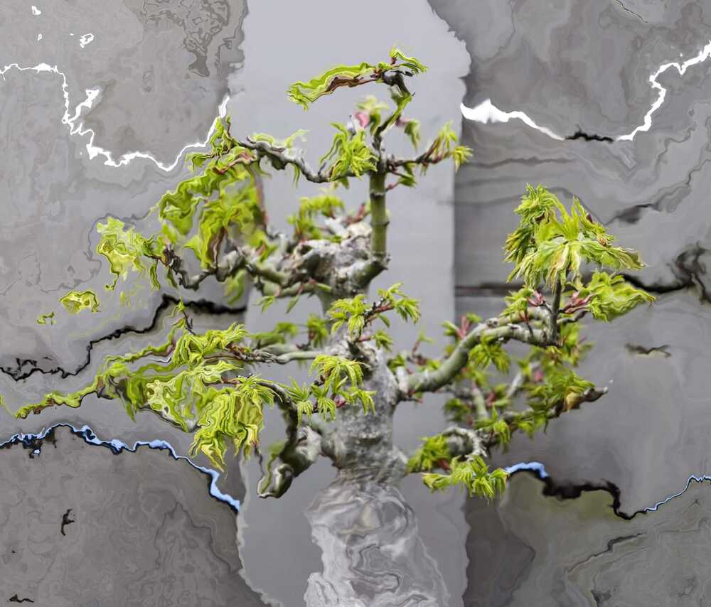 Photograph by ILONA KILA