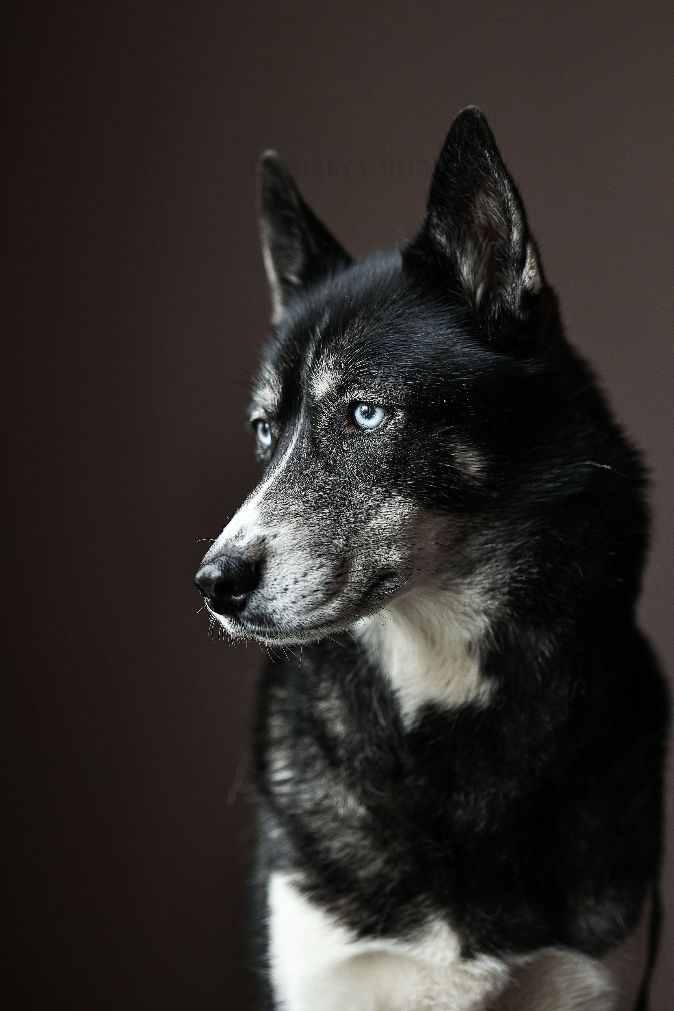 Photograph by Елена Одынец