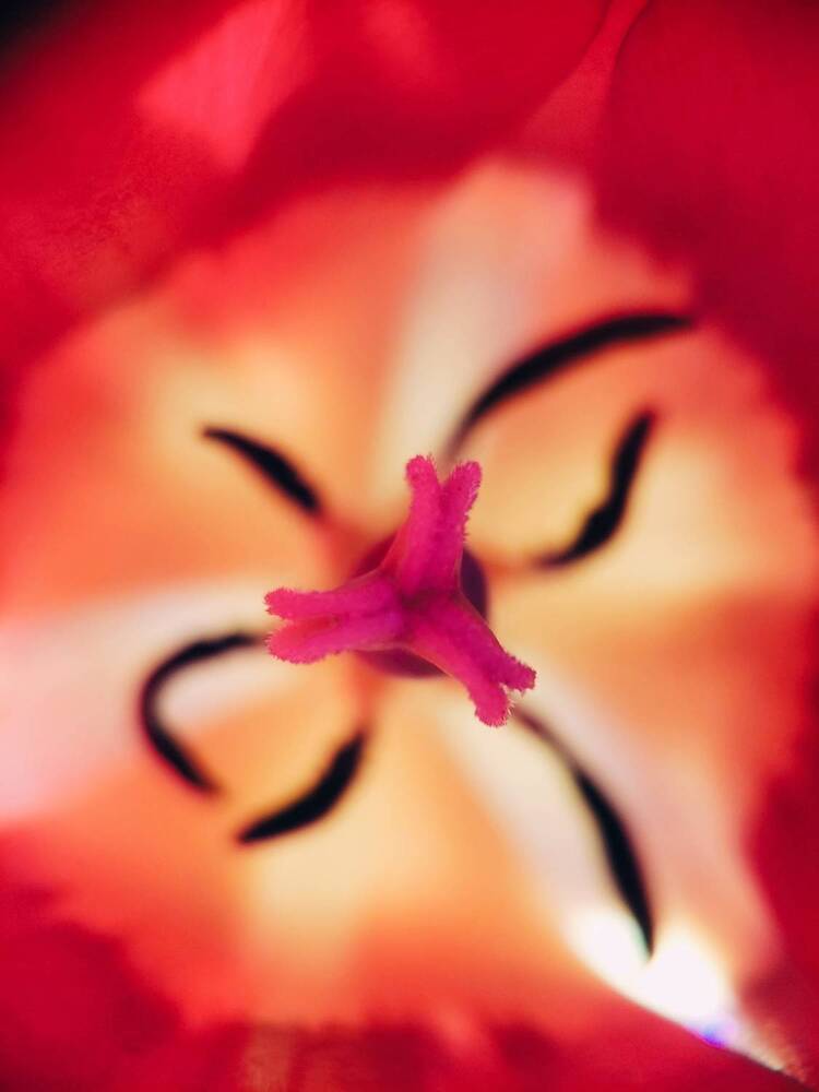 Photograph by Ольга Таланцева