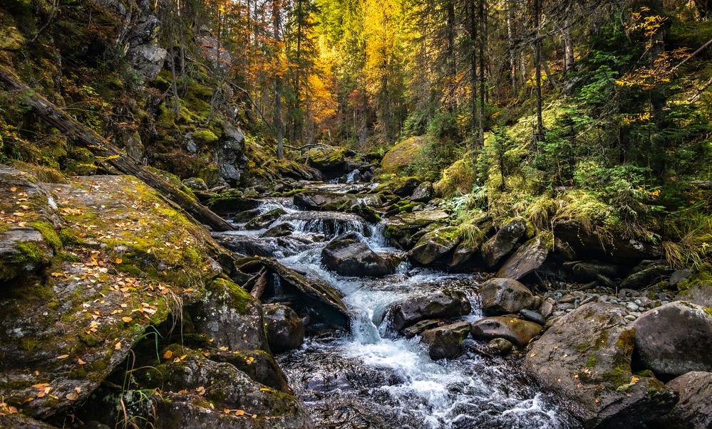 Photograph by Владимир Синцов