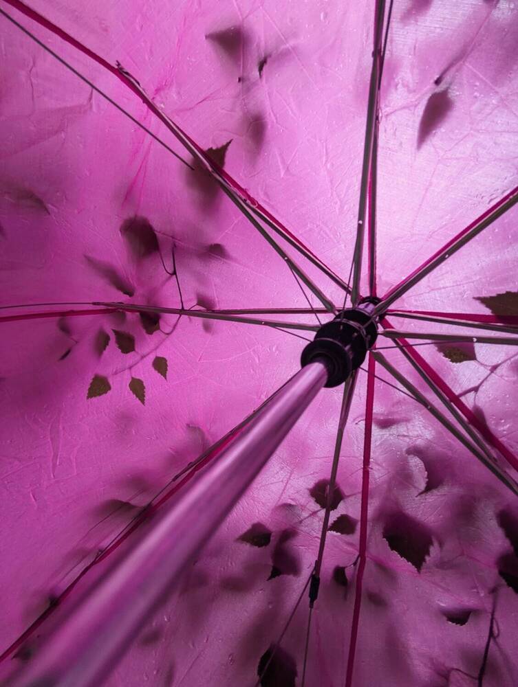 Photograph by Ольга Таланцева