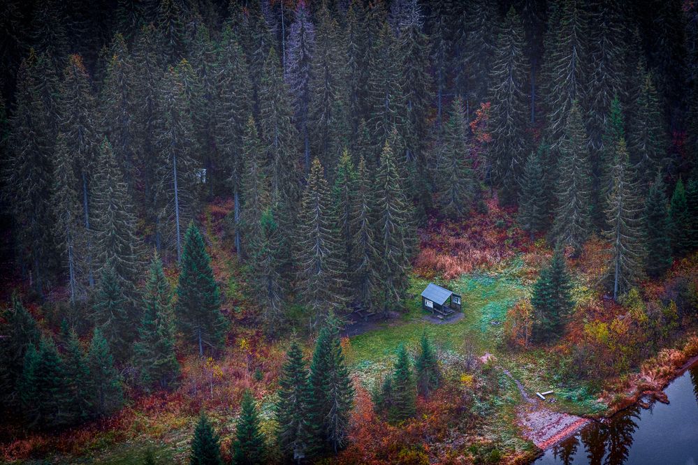 Лес Усьвы, Пермский край.