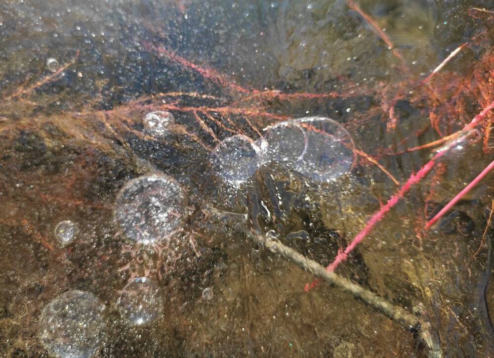 Photograph by Ирина Яук