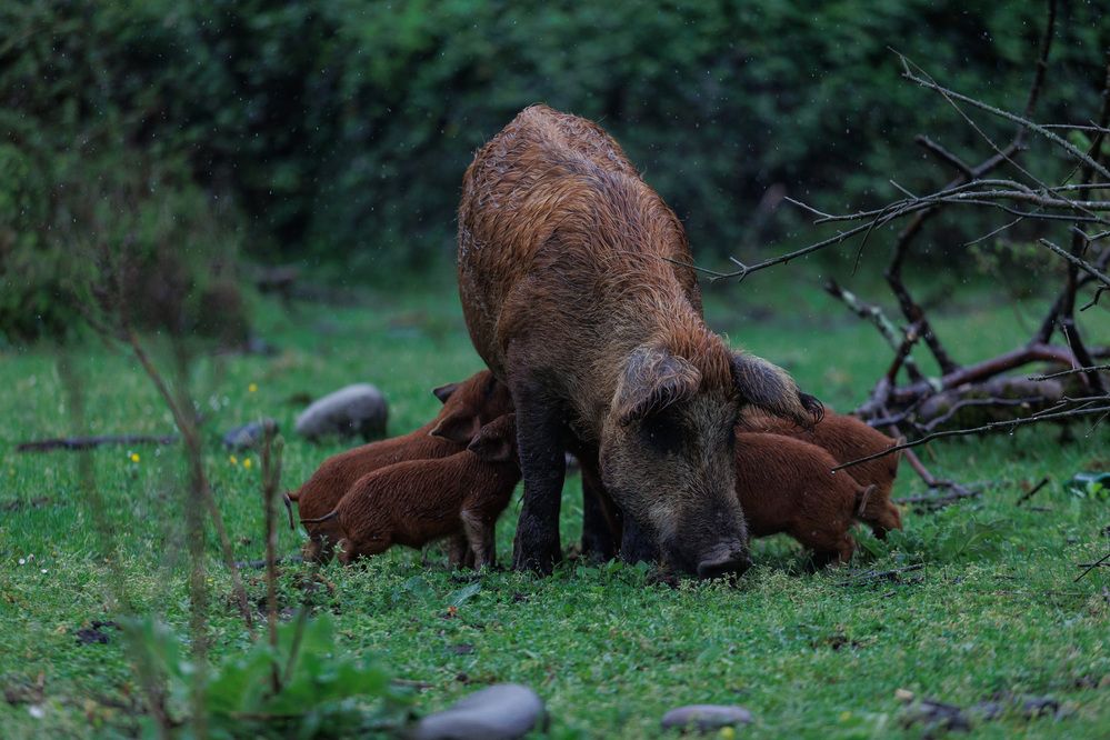 Photograph by Fallen Angel