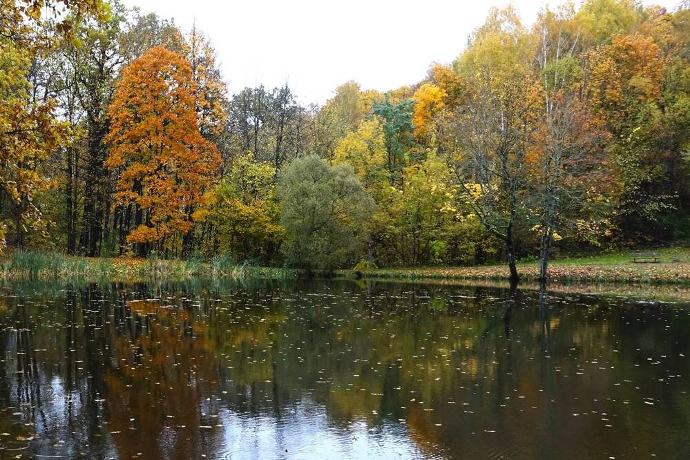 Photograph by jelena konickaja