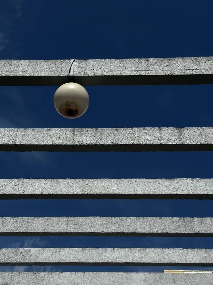 Фотография автора Анастасия Терехова