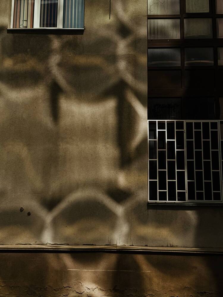 Фотография автора Анастасия Терехова