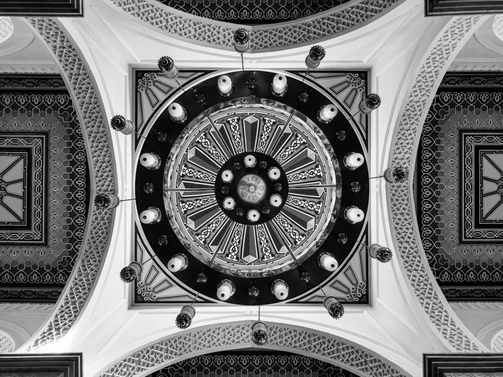 Photograph by Alaa Nour