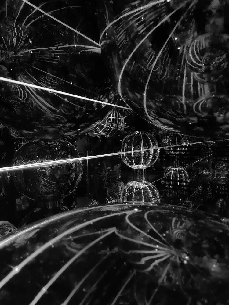 Фотография автора Александра Зимина