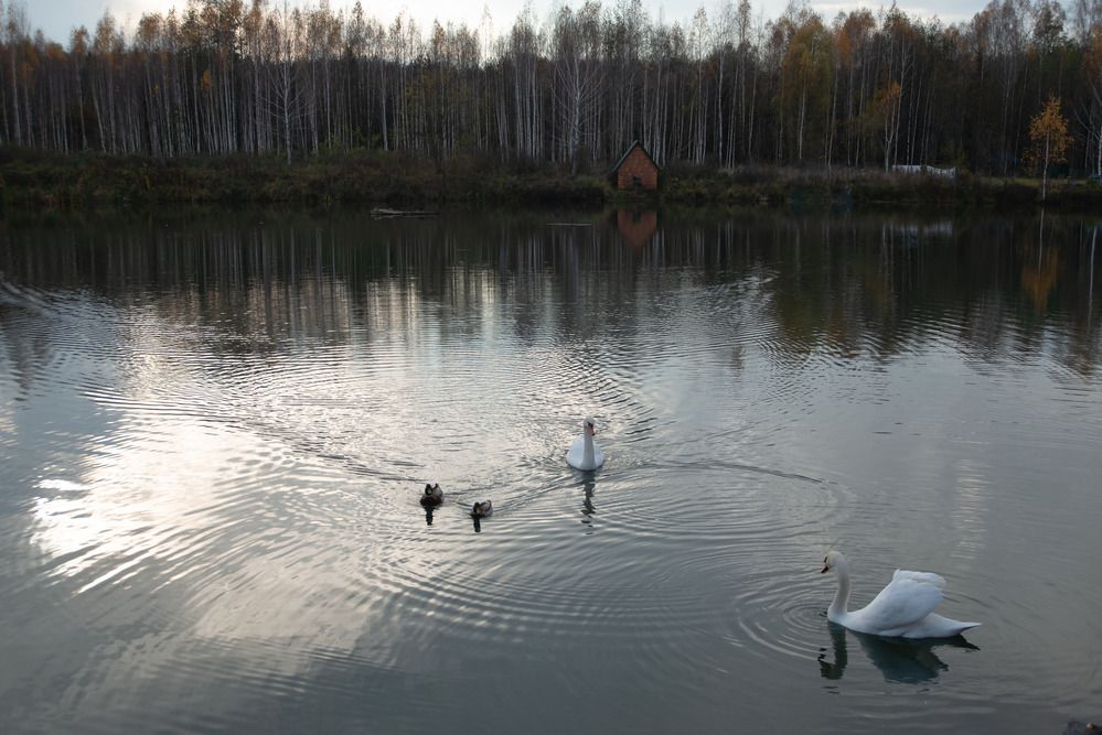 Photograph by Светлана Зайкова