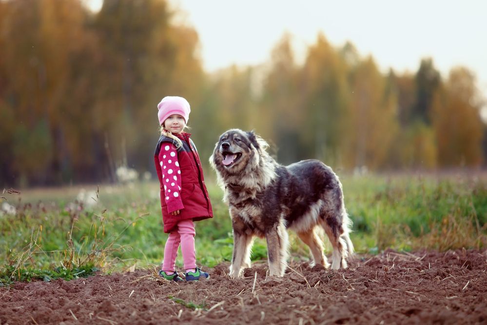 Photograph by Оля Васильева