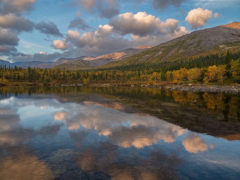 Photograph by Шейко Анна