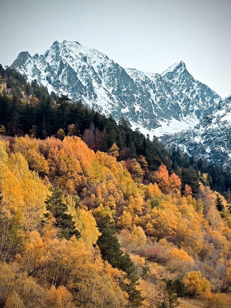 Photograph by Ирина Землячева