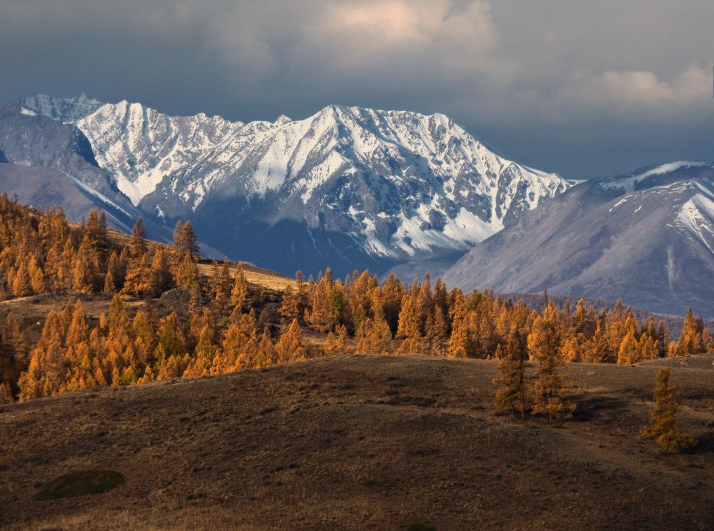 Photograph by Галина Хвостенко