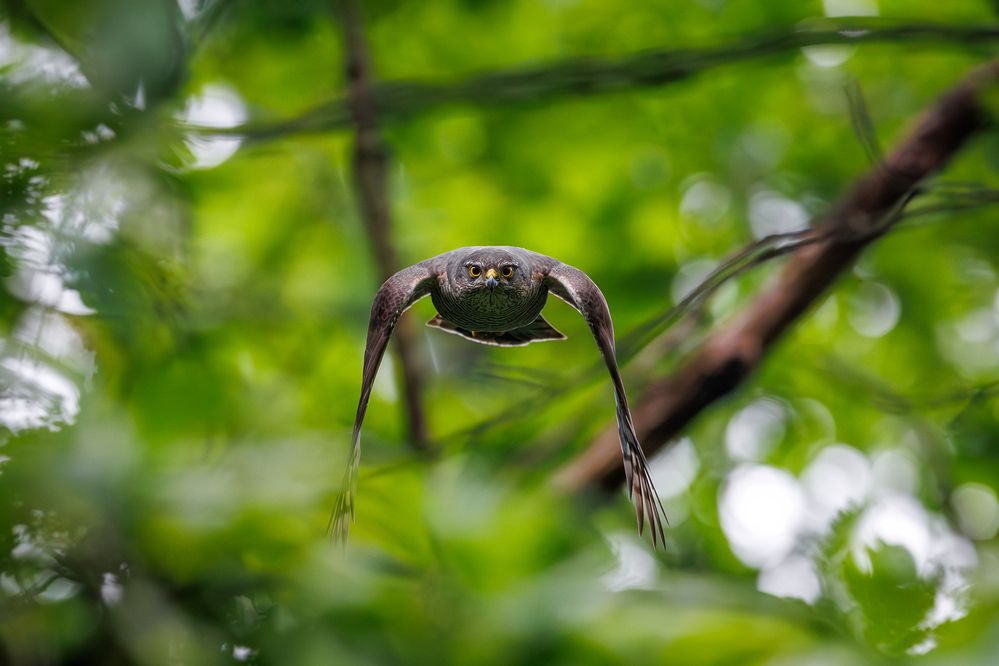 Photograph by Антон Науменко