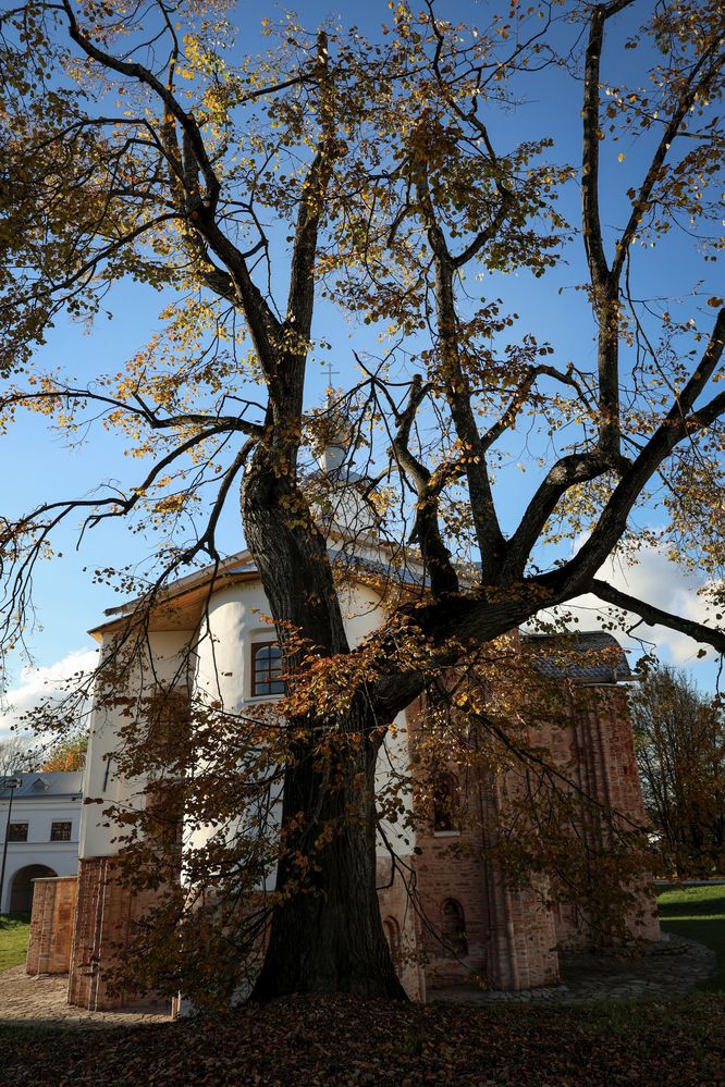 Photograph by Андрей Циликов