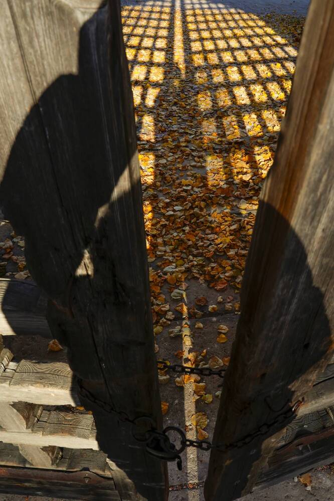 Photograph by Андрей Циликов