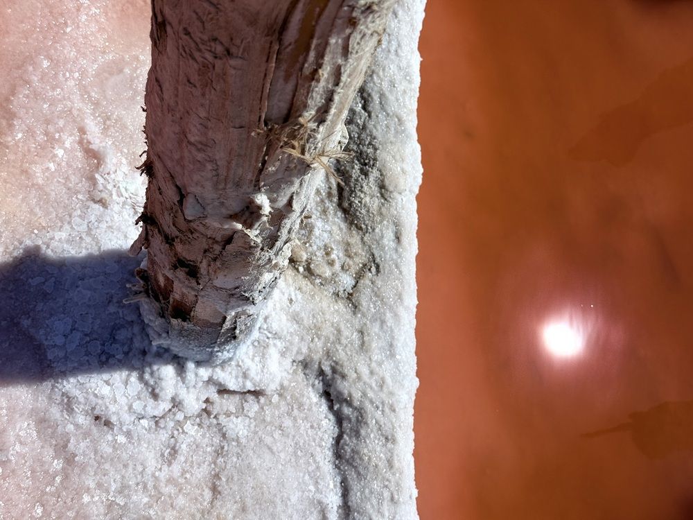 Photograph by Наталья Сережко