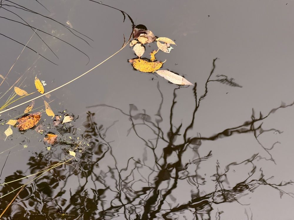 Photograph by Наталья Сережко