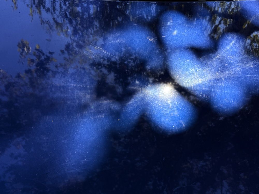 Photograph by Наталья Сережко