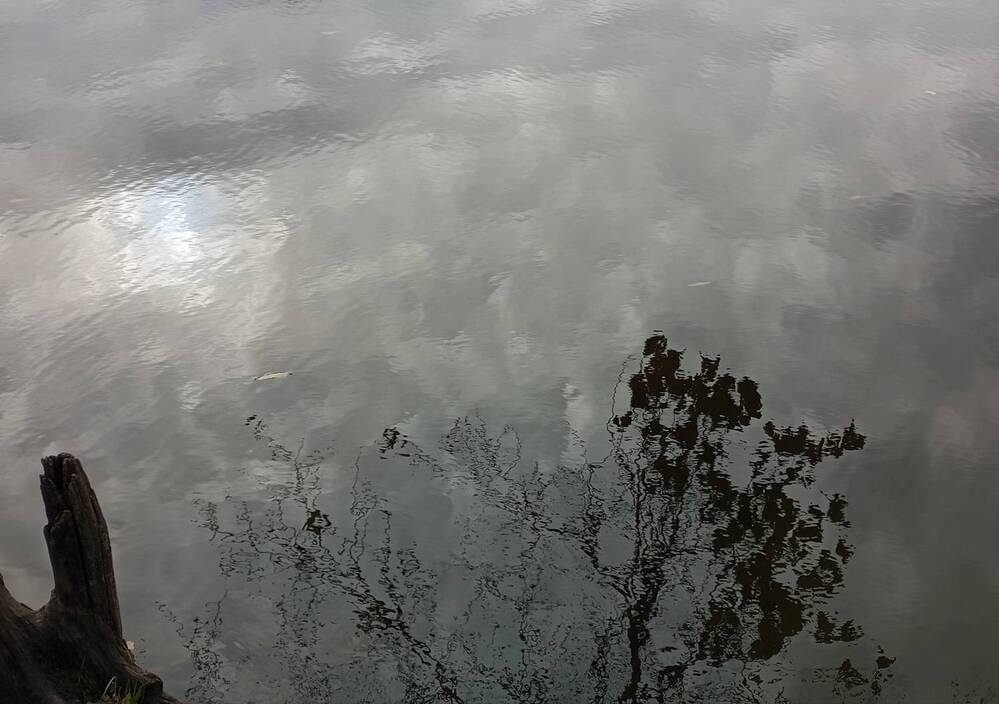 Photograph by Татьяна Кунц