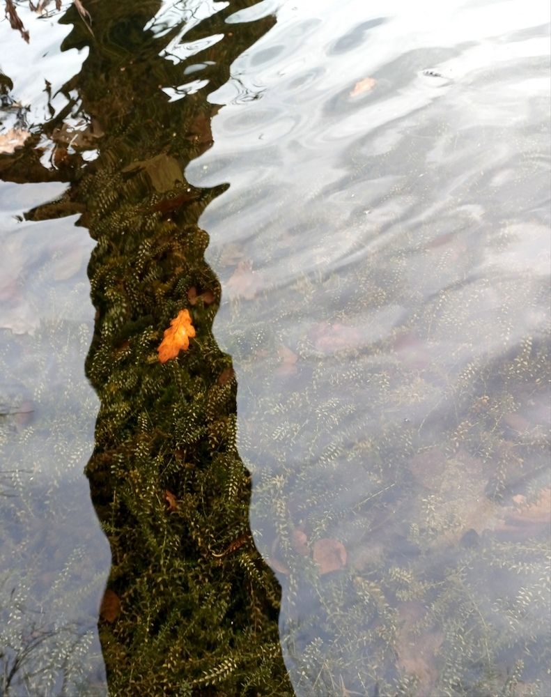 Photograph by Татьяна Кунц