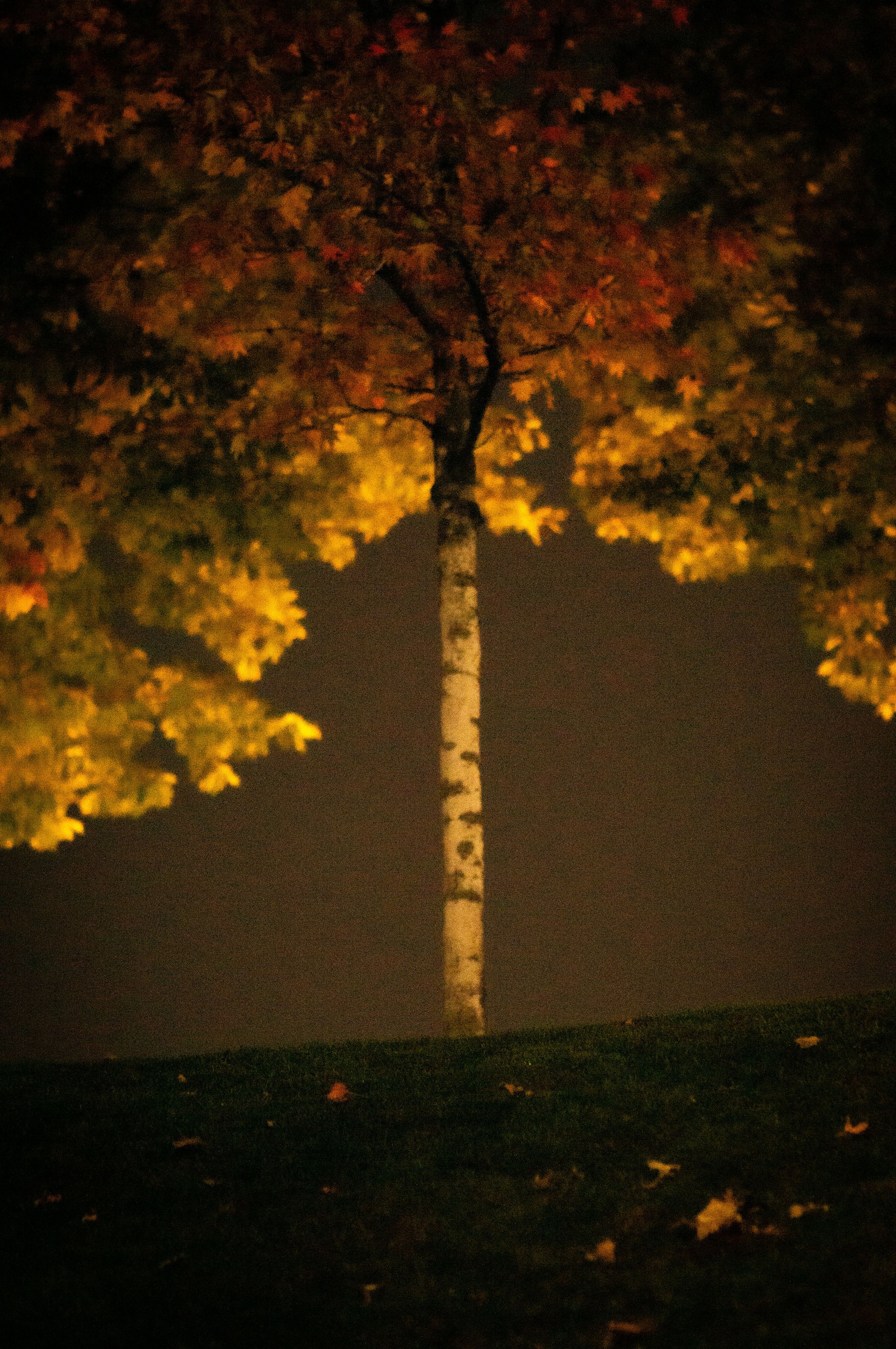 Photograph by Крупченко Роман