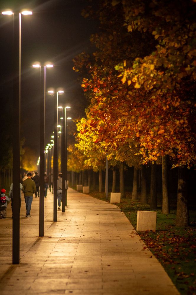 Photograph by Крупченко Роман