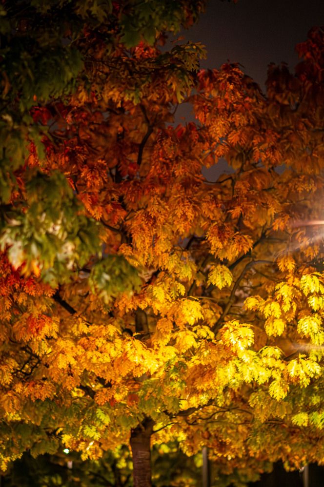 Photograph by Крупченко Роман