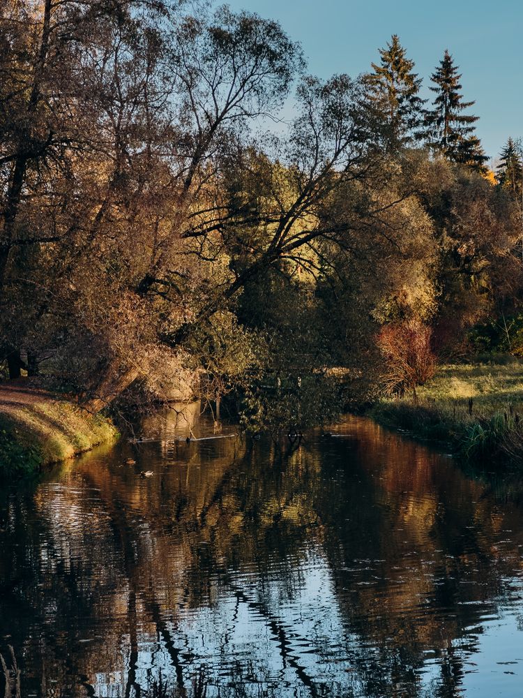 Photograph by ALISA NEZHINSKAYA